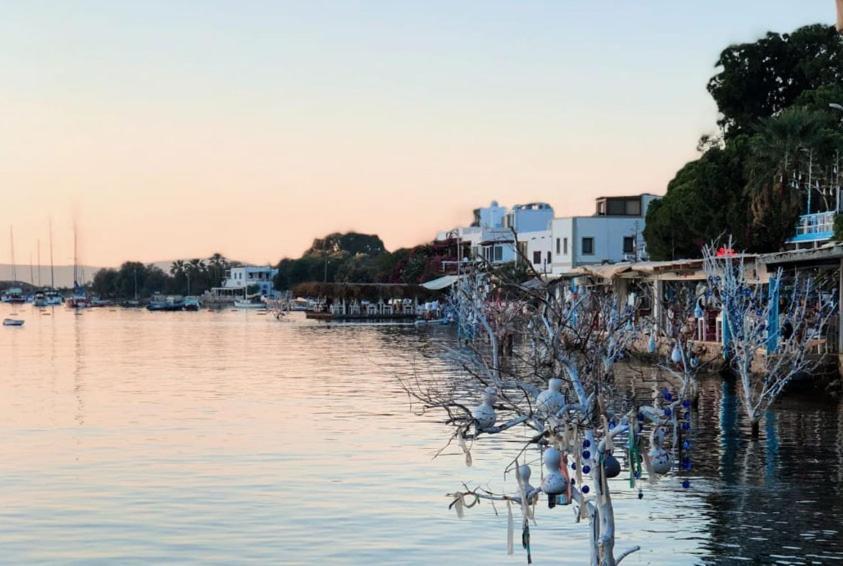Hotel Azure Wellness Retreat (Adults Only) Turgutreis Exterior foto